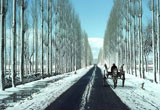 Gulmarg