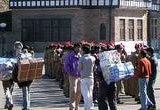 Shimla